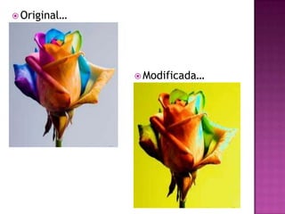 Original…Modificada…