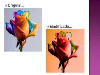 Original…Modificada…