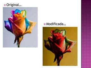 Original…Modificada…