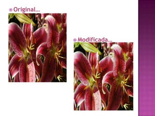Original…Modificada…