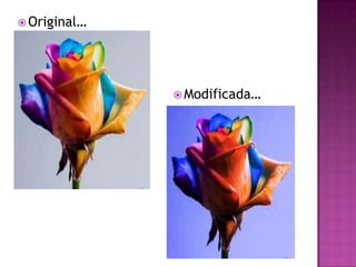 Original…Modificada…