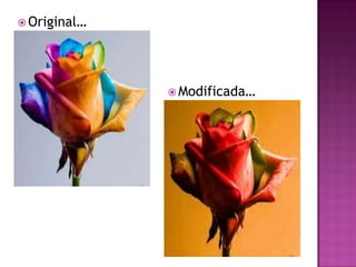 Original…Modificada…