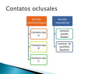 Sentido         Sentido
vestibulolingual   mesiodistal


                      contacto
   Contacto tipo
                       parada
        A
                      Stopper


                    contacto de
   Contacto tipo
                     equilibrio
        B
                     Equalizer


   Contacto tipo
        C
 