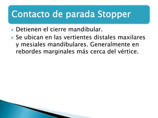 Contacto de parada Stopper
   Detienen el cierre mandibular.
   Se ubican en las vertientes distales maxilares
    y mesiales mandibulares. Generalmente en
    rebordes marginales más cerca del vértice.
 
