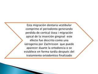 Esta migración dentaria vestibular
 comprime el periodonto generando
 perdida de cortical ósea i migración
  apical de la inserción gingival este
     efecto fue descrito como una
iatrogenia por Zachrisson que puede
  aparecer duarte la ortodoncia o se
establece en forma tardía después del
  tratamiento ortodontico finalizado
 