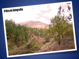 Ajustes de photoshop