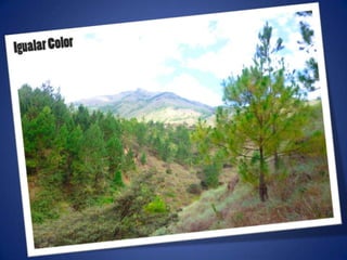 Ajustes de photoshop