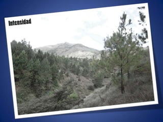 Ajustes de photoshop