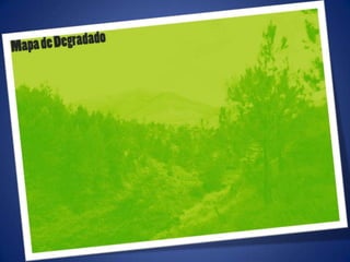 Ajustes de photoshop