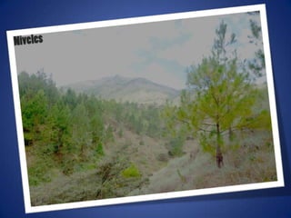 Ajustes de photoshop