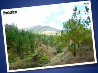 Ajustes de photoshop