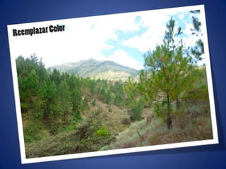 Ajustes de photoshop