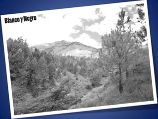 Ajustes de photoshop