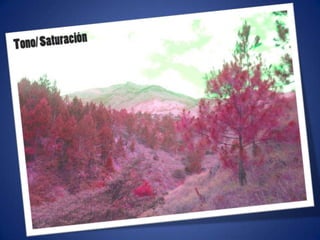 Ajustes de photoshop