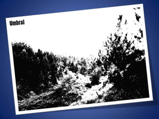 Ajustes de photoshop