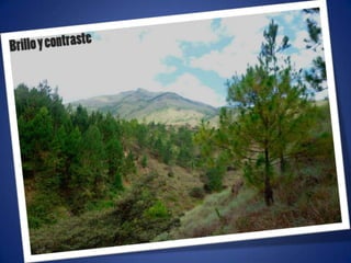 Ajustes de photoshop