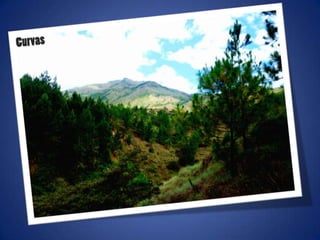 Ajustes de photoshop