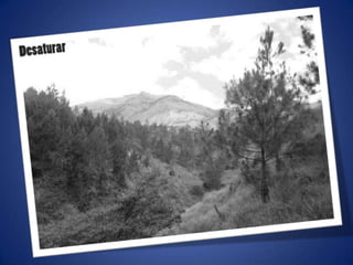 Ajustes de photoshop