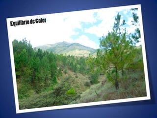 Ajustes de photoshop