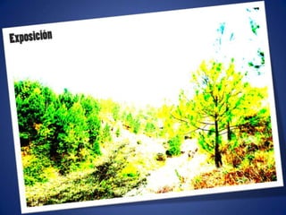 Ajustes de photoshop