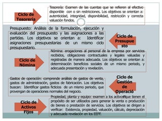 Tesorería: Examen de las cuentas que se refieren al efectivo disponible  con o sin restricciones. Los objetivos se orientan a:  autenticidad, integridad, disponibilidad, restricción y correcta valuación fondos.Ciclo de TesoreríaPresupuesto: Análisis de la formulación, ejecución y evaluación del presupuesto y las asignaciones a las partidas. Los objetivos se orientan a:  Identificar asignaciones presupuestarias de un mismo ciclo presupuestario.Ciclo de PresupuestoNómina: erogaciones al personal de la empresa por servicios recibidos, obligaciones contractuales y legales valuadas y registradas de manera adecuada. Los objetivos se orientan a:  determinación beneficios sociales de un mismo periodo, y adecuada presentación y revelación.Ciclo de NóminaGastos de operación: comprende análisis de gastos de venta, gastos de administración, gastos de fabricación. Los objetivos buscan:  Identificar gastos ficticios  de un mismo periodo, que provengan de operaciones normales del negocio.Ciclo de Gestión de OperaciónPropiedad, planta y equipo: examen a los activos que tienen el propósito de ser utilizados para generar la venta o producción de bienes o prestación de servicios. Los objetivos se dirigen a verificar:  Existencia, propiedad, valuación, cálculo, depreciación y adecuada revelación en los EEFF.Ciclo de Activos Fijos