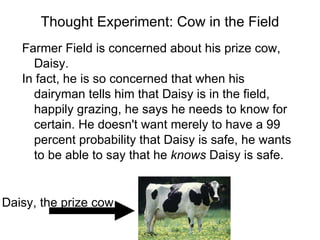 Thought Experiment: Cow in the Field Farmer Field is concerned about his prize cow, Daisy.  In fact, he is so concerned that when his dairyman tells him that Daisy is in the field, happily grazing, he says he needs to know for certain. He doesn't want merely to have a 99 percent probability that Daisy is safe, he wants to be able to say that he  knows  Daisy is safe. Daisy, the prize cow 