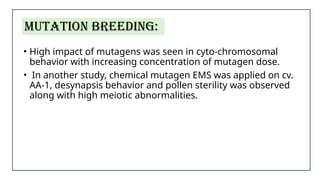 The breeding strategies in the crop ajwain | PPTX