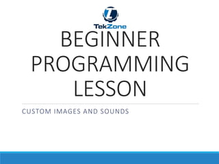 CUSTOM IMAGES AND SOUNDS
BEGINNER
PROGRAMMING
LESSON
 