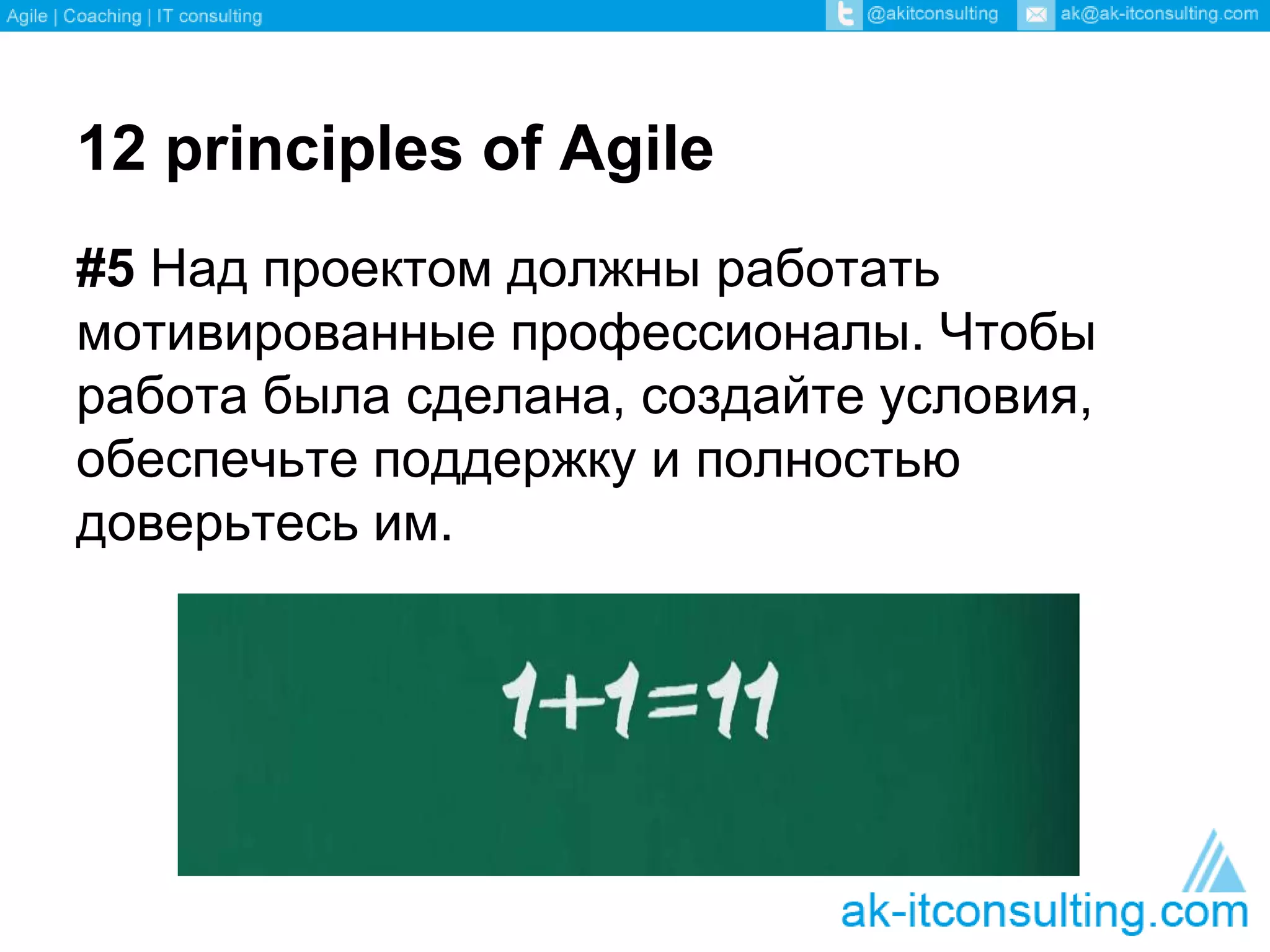 12 principles of Agile 
#5 Над проектом должны работать 
мотивированные профессионалы. Чтобы 
работа была сделана, создайте условия, 
обеспечьте поддержку и полностью 
доверьтесь им. 
 