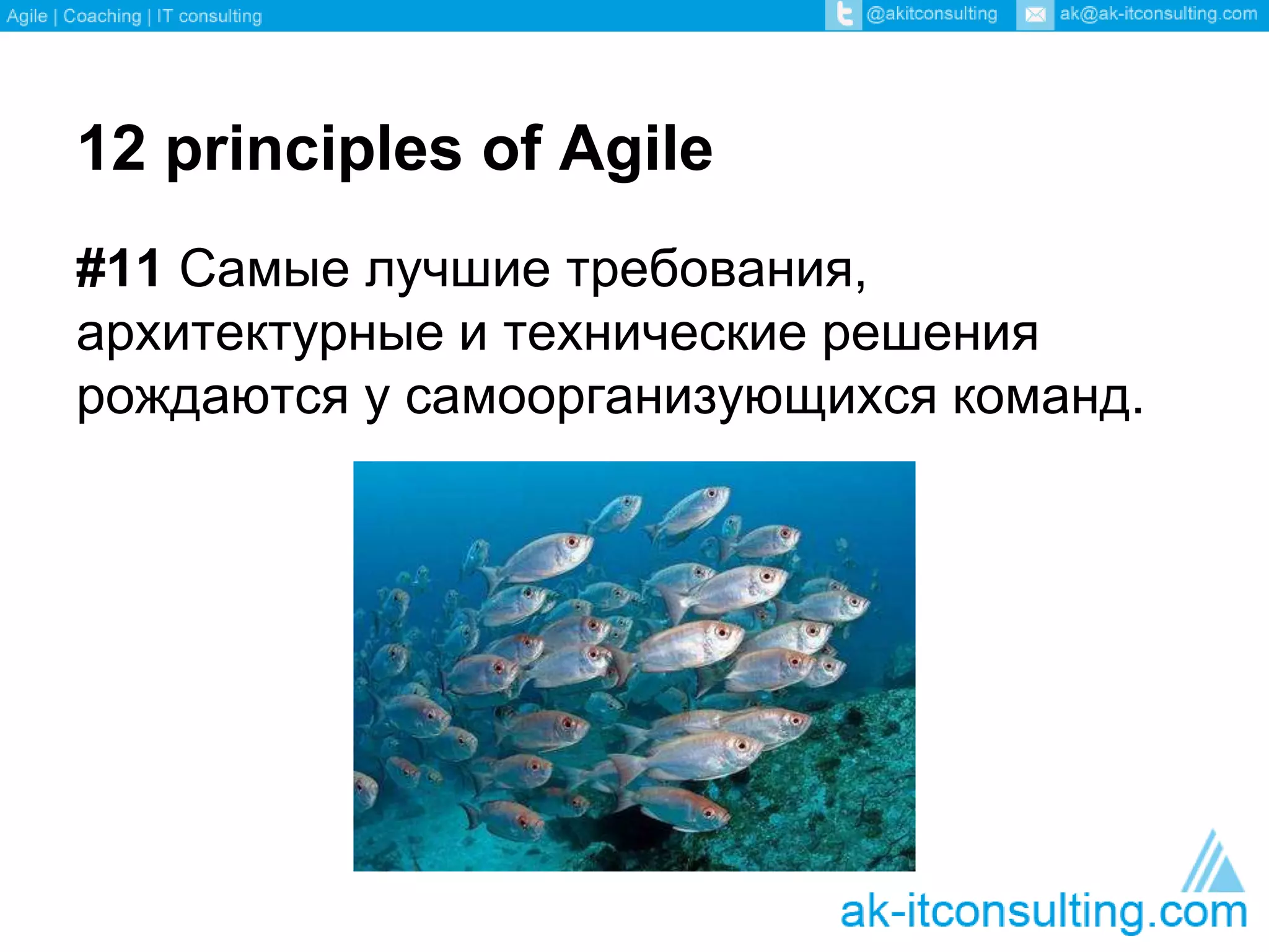12 principles of Agile 
#11 Самые лучшие требования, 
архитектурные и технические решения 
рождаются у самоорганизующихся команд. 
 