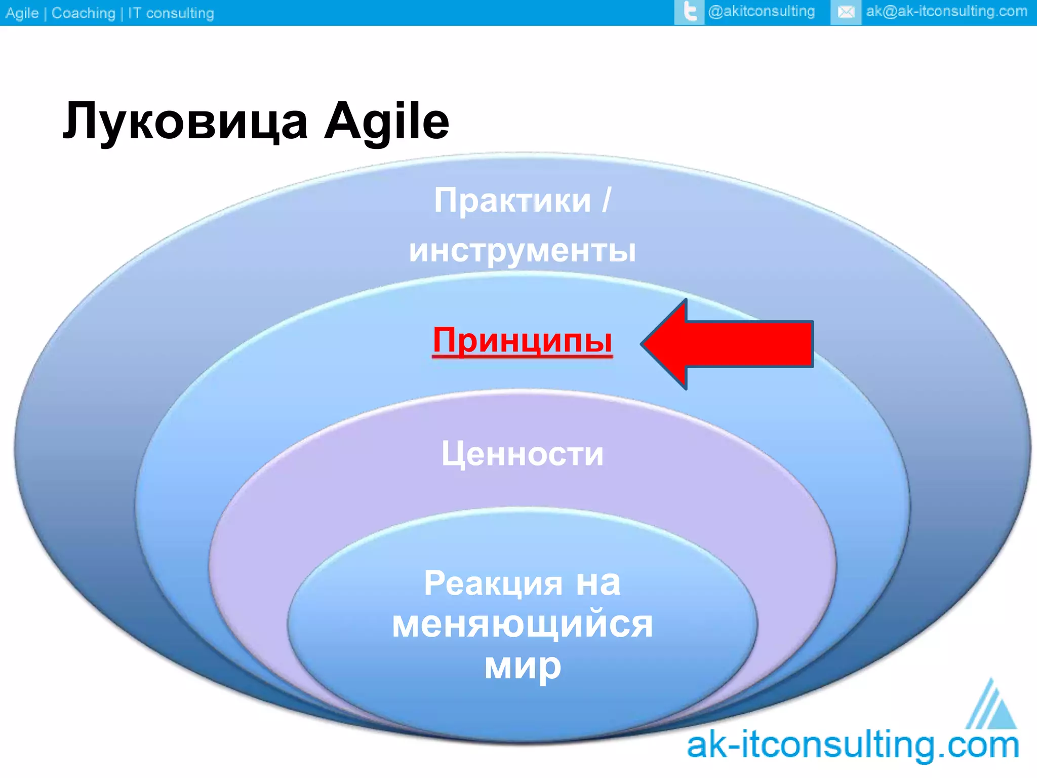 Луковица Agile 
Практики / 
инструменты 
Принципы 
Ценности 
Реакция на 
меняющийся 
мир 
 