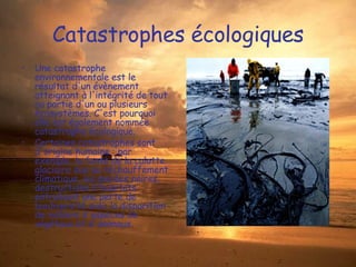 Catastrophes écologiques Une catastrophe environnementale est le résultat d'un évènement atteignant à l'intégrité de tout ou partie d'un ou plusieurs écosystèmes. C'est pourquoi elle est également nommée catastrophe écologique. Certaines catastrophes sont d'origine humaine : par exemple, la fonte de la calotte glaciaire due au réchauffement climatique, les marées noires, destructions d'habitats entraînant une perte de biodiversité avec la disparition de milliers d'espèces de végétaux et d'animaux. 