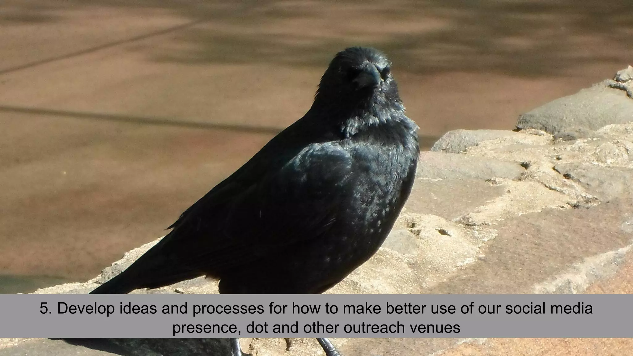 5. Develop ideas and processes for how to make better use of our social media
presence, dot and other outreach venues
 