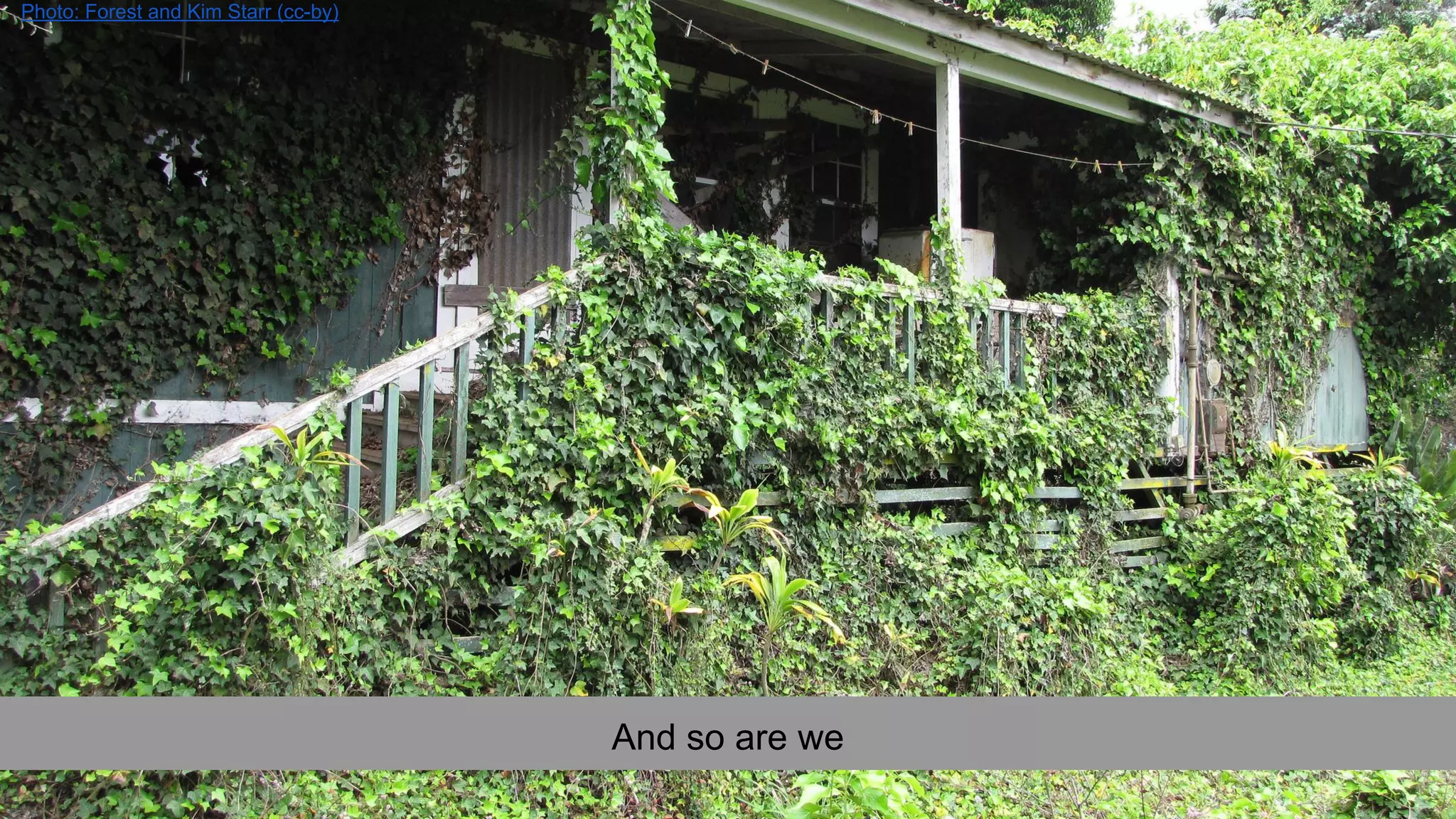 And so are we
Photo: Forest and Kim Starr (cc-by)
 