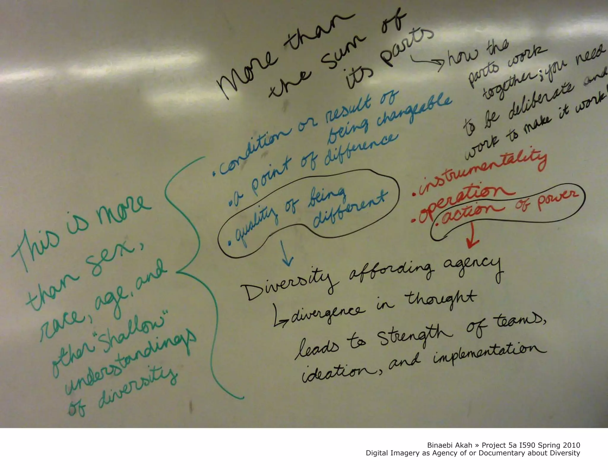 Binaebi Akah » Project 5a I590 Spring 2010
Digital Imagery as Agency of or Documentary about Diversity
 