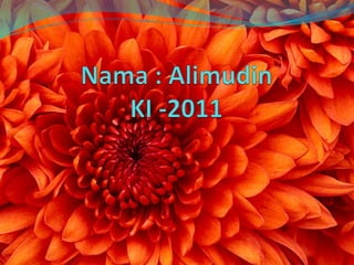 Nama : AlimudinKI -2011 