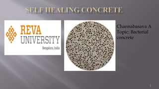 . 1
Channabasava A
Topic: Bacterial
concrete
 