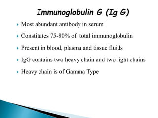 Immunoglobulin G (Ig G)
 Most abundant antibody in serum
 Constitutes 75-80% of total immunoglobulin
 Present in blood, plasma and tissue fluids
 IgG contains two heavy chain and two light chains
 Heavy chain is of Gamma Type
 
