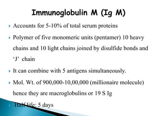 Immunoglobulin M (Ig M)
 Accounts for 5-10% of total serum proteins
 Polymer of five monomeric units (pentamer) 10 heavy
chains and 10 light chains joined by disulfide bonds and
‘J’ chain
 It can combine with 5 antigens simultaneously.
 Mol. Wt. of 900,000-10,00,000 (millionaire molecule)
hence they are macroglobulins or 19 S Ig
 Half life: 5 days
 