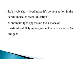  Relatively short-lived hence it’s demonstration in the
serum indicates recent infection
 Monomeric IgM appears on the surface of
unstimulated B lymphocytes and act as receptors for
antigens
 