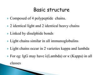 Basic structure
 Composed of 4 polypeptide chains.
 2 identical light and 2 identical heavy chains
 Linked by disulphide bonds
 Light chains similar in all immunoglobulins
 Light chains occur in 2 varieties kappa and lambda
 For eg: IgG may have λ(Lambda) or κ (Kappa) in all
classes
 