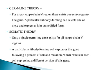  GERM-LINE THEORY –
◦ For every kappa-chain V-region there exists one unique germ-
line gene. A particular antibody-forming cell selects one of
these and expresses it in unmodified form.
 SOMATIC THEORY –
◦ Only a single germ-line gene exists for all kappa-chain V-
regions.
◦ A particular antibody-forming cell expresses this gene
following a process of somatic mutation, which results in each
cell expressing a different version of this gene.
 