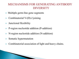 MECHANISMS FOR GENERATING ANTIBODY
DIVERSITY
 Multiple germ-line gene segments
 Combinatorial V-(D)-J joining
 Junctional flexibility
 P-region nucleotide addition (P-addition)
 N-region nucleotide addition (N-addition)
 Somatic hypermutation
 Combinatorial association of light and heavy chains.
 