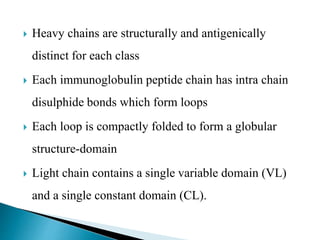  Heavy chains are structurally and antigenically
distinct for each class
 Each immunoglobulin peptide chain has intra chain
disulphide bonds which form loops
 Each loop is compactly folded to form a globular
structure-domain
 Light chain contains a single variable domain (VL)
and a single constant domain (CL).
 