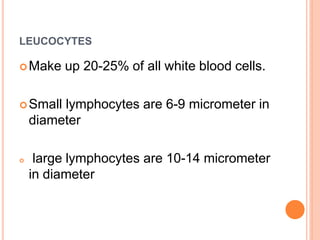 LEUCOCYTES
Make up 20-25% of all white blood cells.
Small lymphocytes are 6-9 micrometer in
diameter
 large lymphocytes are 10-14 micrometer
in diameter
 