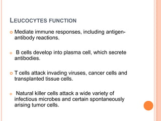 LEUCOCYTES FUNCTION
 Mediate immune responses, including antigen-
antibody reactions.
 B cells develop into plasma cell, which secrete
antibodies.
 T cells attack invading viruses, cancer cells and
transplanted tissue cells.
 Natural killer cells attack a wide variety of
infectious microbes and certain spontaneously
arising tumor cells.
 