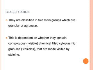CLASSIFCATION
 They are classified in two main groups which are
granular or agranular.
 This is dependent on whether they contain
conspicuous ( visible) chemical filled cytoplasmic
granules ( vesicles), that are made visible by
staining.
 
