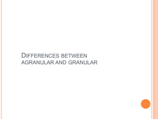 DIFFERENCES BETWEEN
AGRANULAR AND GRANULAR
 
