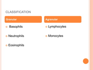 CLASSIFICATION
 Lymphocytes
 Monocytes
Granular
 Basophils
 Neutrophils
 Eosinophils
Agranular
 