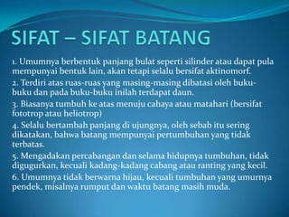 1. Umumnya berbentuk panjang bulat seperti silinder atau dapat pula
mempunyai bentuk lain, akan tetapi selalu bersifat aktinomorf.
2. Terdiri atas ruas-ruas yang masing-masing dibatasi oleh buku-
buku dan pada buku-buku inilah terdapat daun.
3. Biasanya tumbuh ke atas menuju cahaya atau matahari (bersifat
fototrop atau heliotrop)
4. Selalu bertambah panjang di ujungnya, oleh sebab itu sering
dikatakan, bahwa batang mempunyai pertumbuhan yang tidak
terbatas.
5. Mengadakan percabangan dan selama hidupnya tumbuhan, tidak
digugurkan, kecuali kadang-kadang cabang atau ranting yang kecil.
6. Umumnya tidak berwarna hijau, kecuali tumbuhan yang umurnya
pendek, misalnya rumput dan waktu batang masih muda.
 